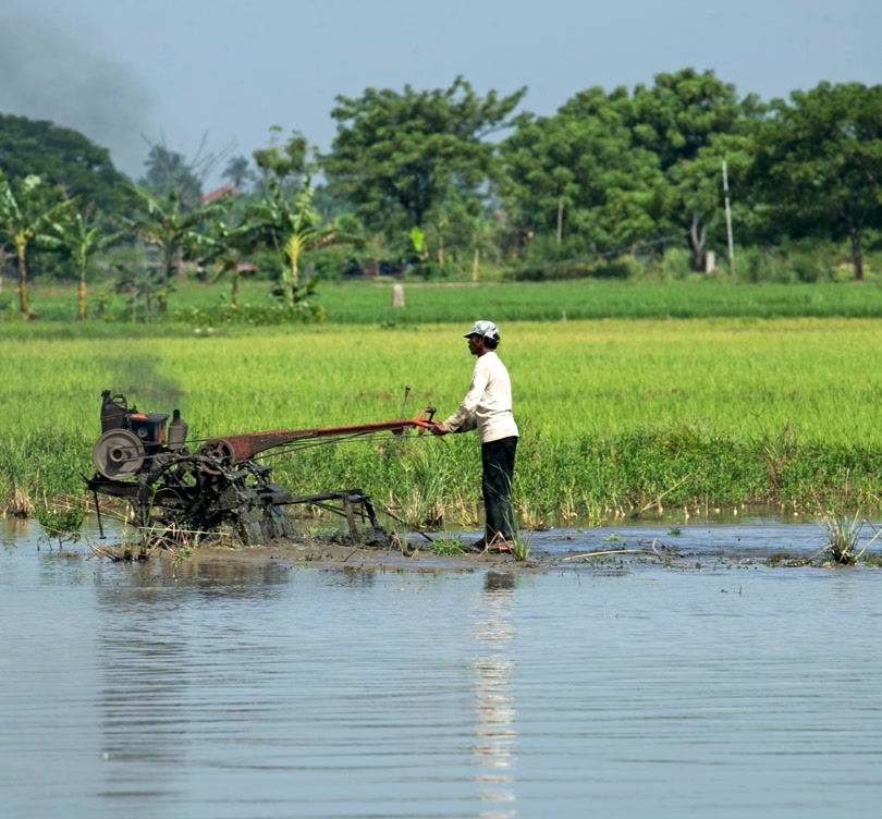 Farmer cultivating a paddy field with farm machinery